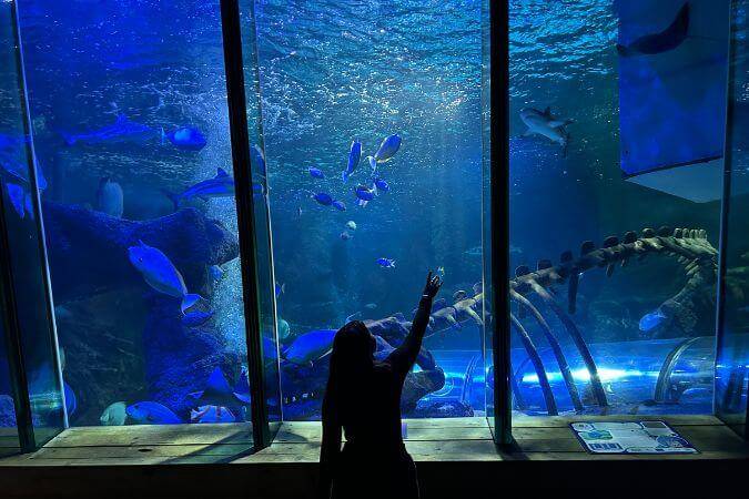 Sea Life Hunstanton